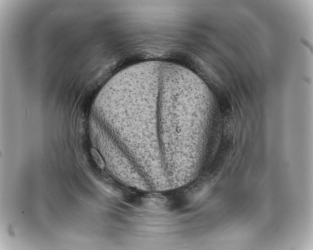 X0000097780215200803211806