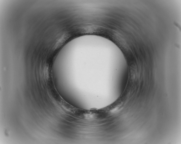 X0000097780216200803211806