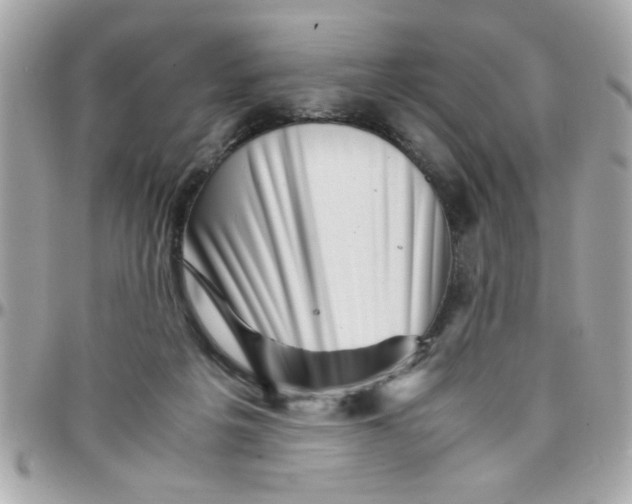 X0000097780217200803211806