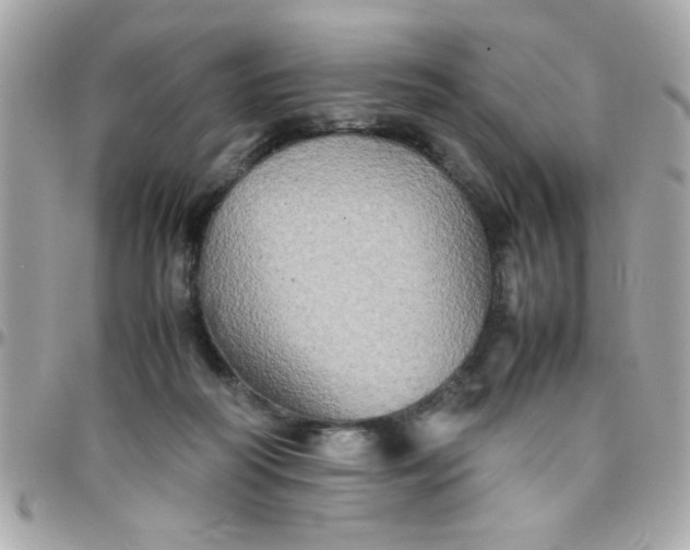 X0000097780218200803211806