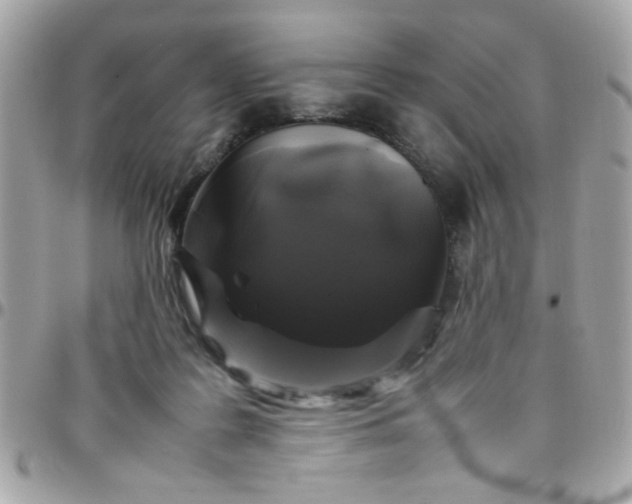 X0000097780219200803211806