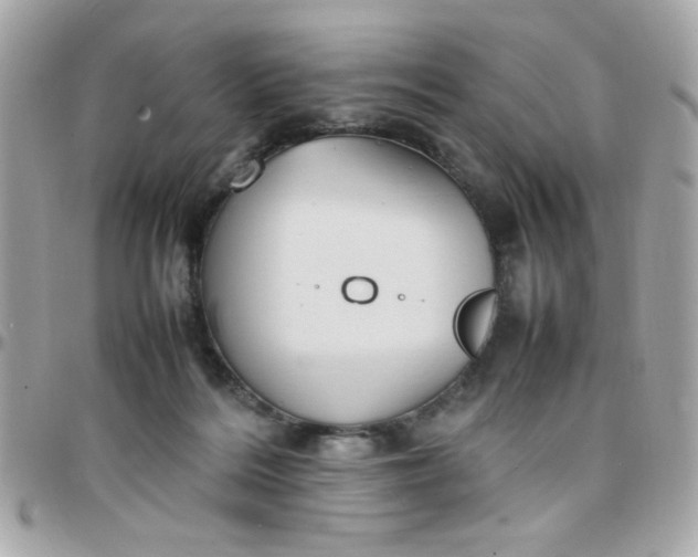 X0000097780220200803211806