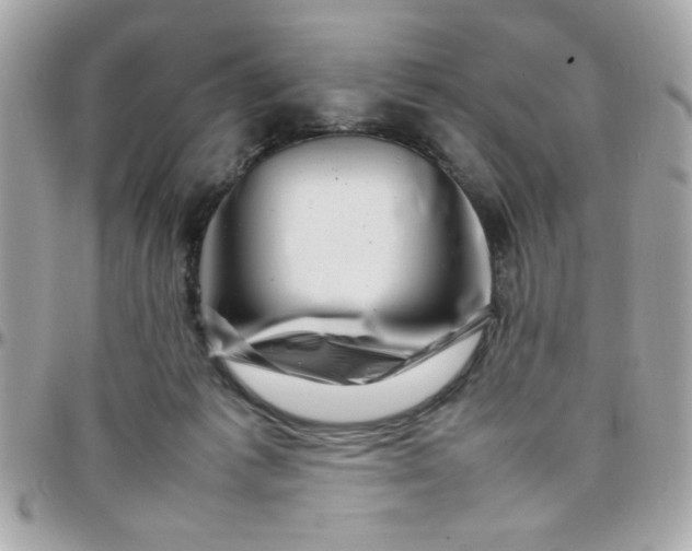 X0000097780221200803211806