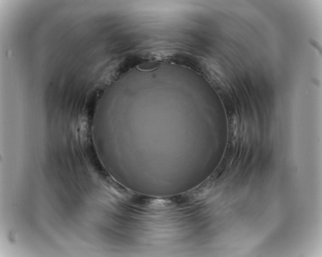 X0000097780222200803211806