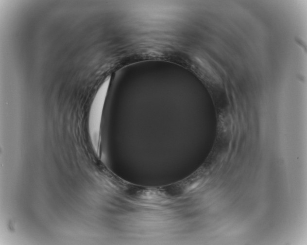 X0000097780223200803211806