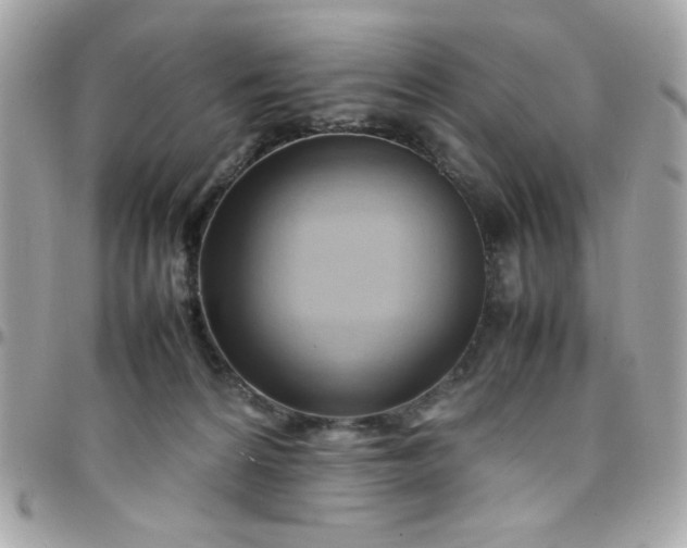 X0000097780224200803211806