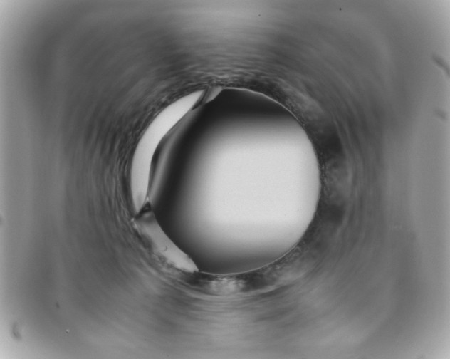 X0000097780225200803211806