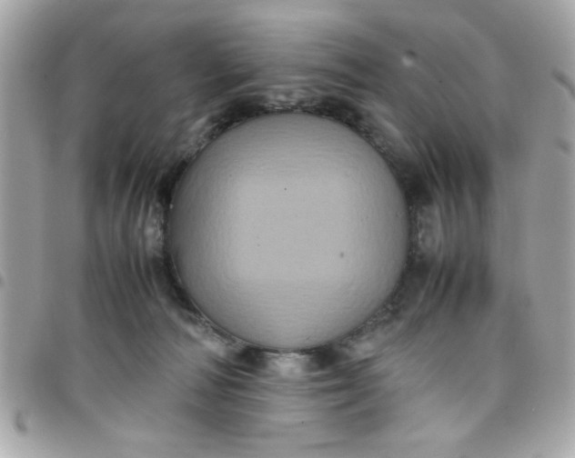 X0000097780226200803211806