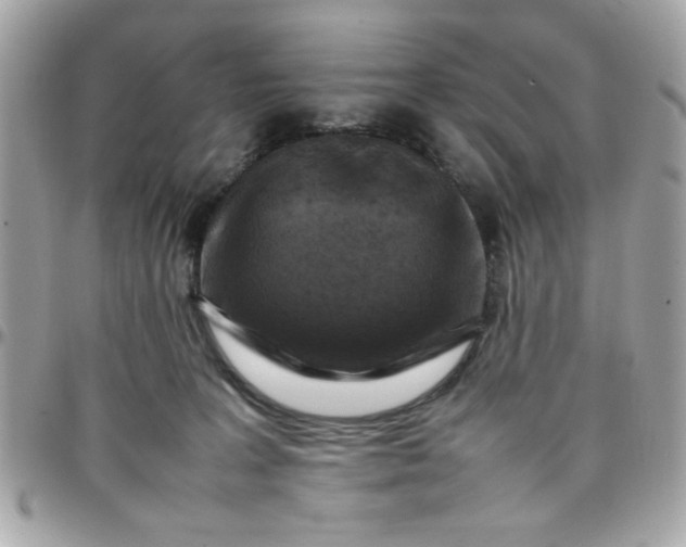 X0000097780227200803211806