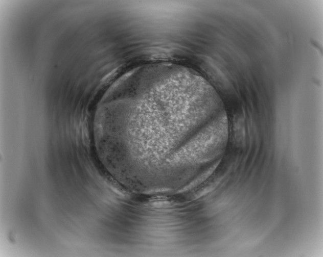 X0000097780228200803211806