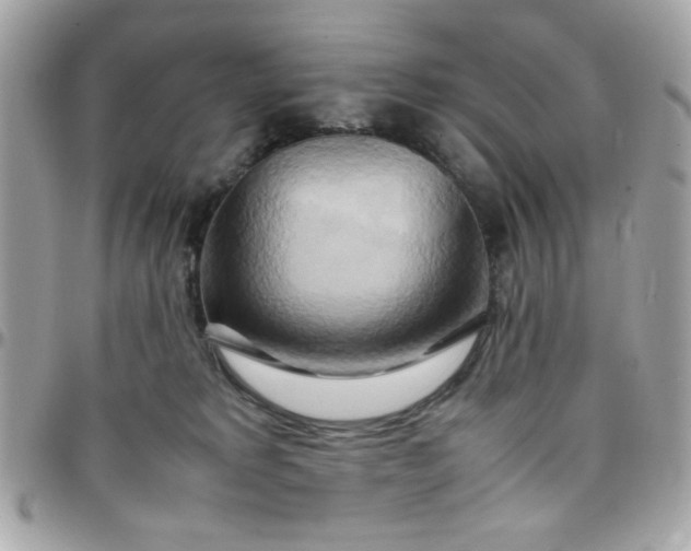 X0000097780229200803211806