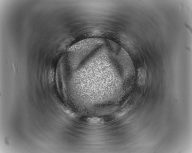 X0000097780230200803211806