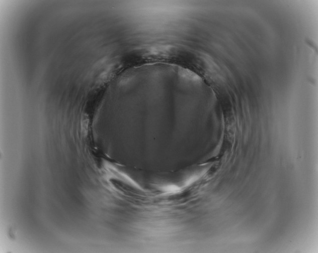 X0000097780231200803211806