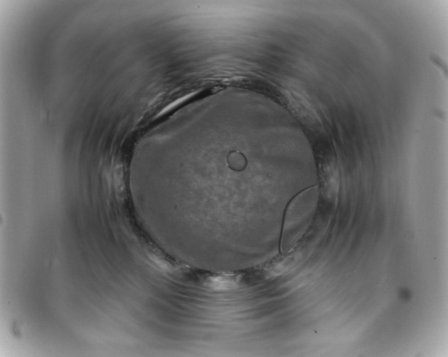 X0000097780232200803211806