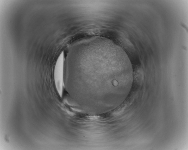 X0000097780233200803211806