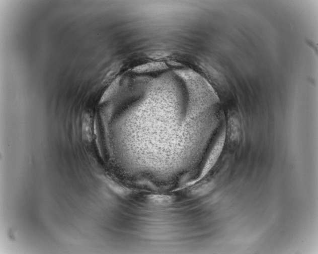 X0000097780234200803211806