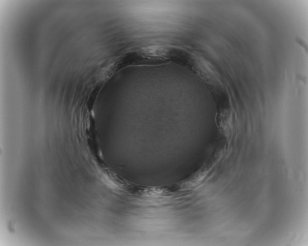 X0000097780235200803211806