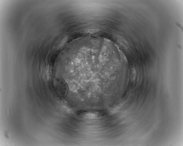 X0000097780236200803211806