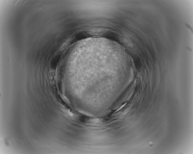 X0000097780237200803211806