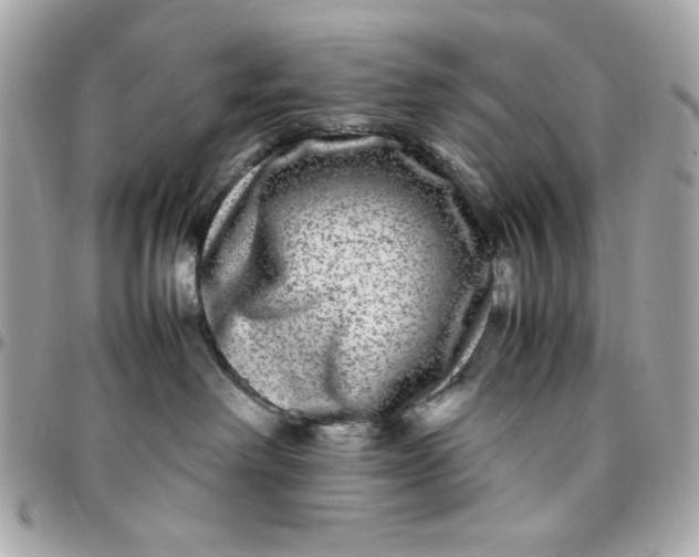 X0000097780238200803211806