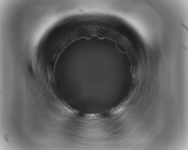 X0000097780239200803211806