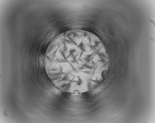 X0000097780240200803211806