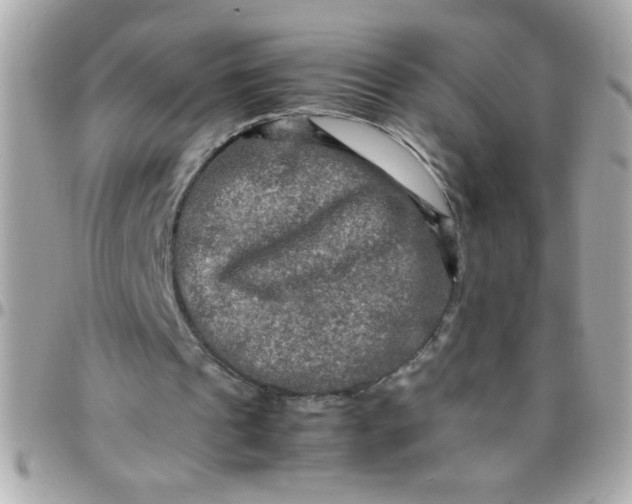 X0000097780241200803211805