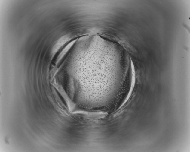 X0000097780242200803211805