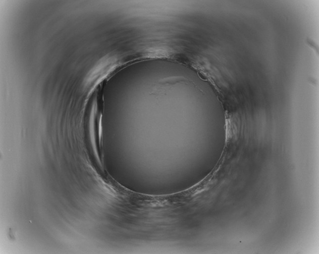 X0000097780243200803211805