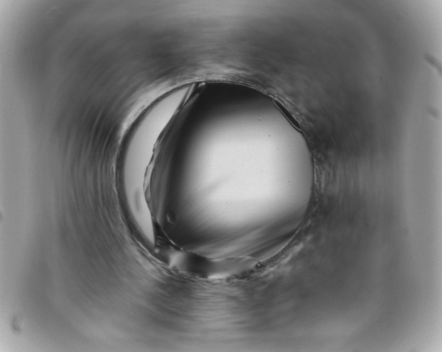 X0000097780244200803211805