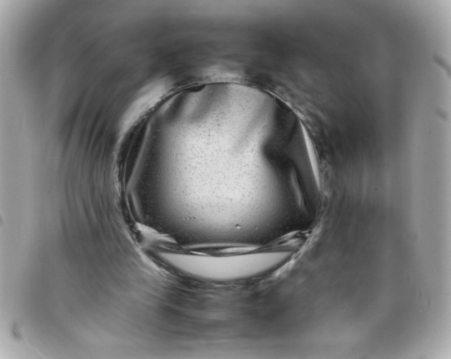 X0000097780245200803211805