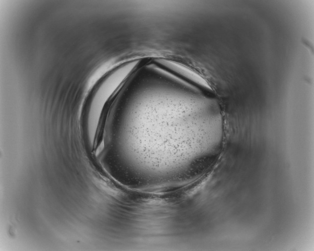 X0000097780246200803211805