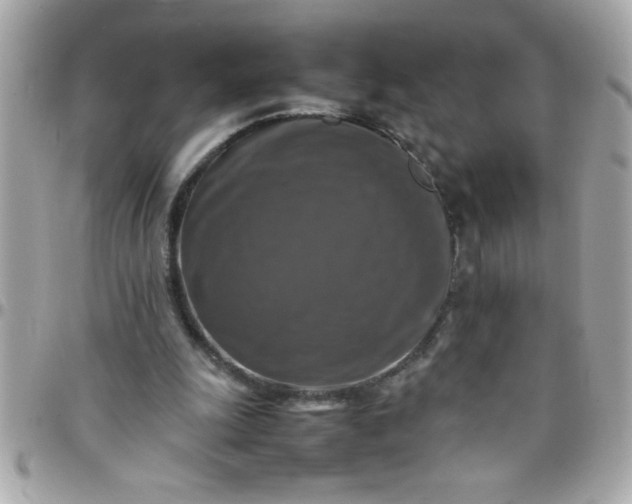 X0000097780247200803211805