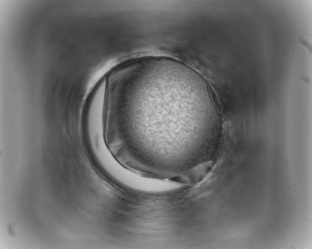 X0000097780248200803211805