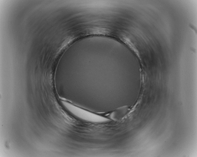 X0000097780249200803211805