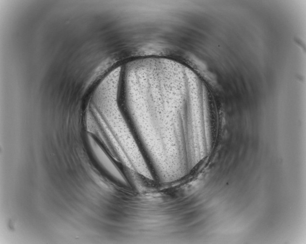 X0000097780250200803211805