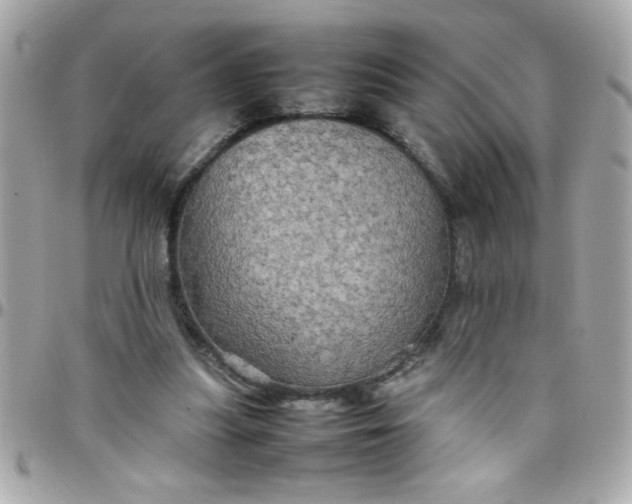 X0000097780251200803211805