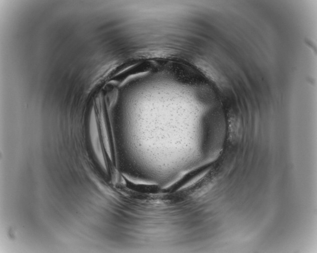 X0000097780254200803211805