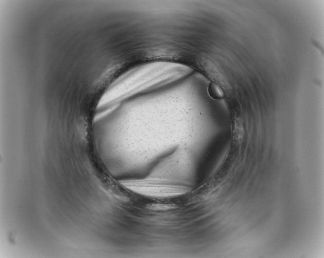 X0000097780255200803211805