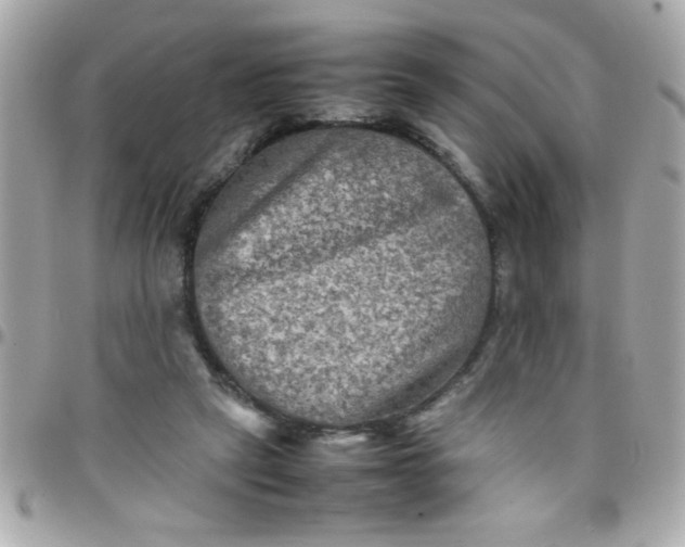 X0000097780257200803211805