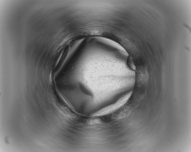 X0000097780262200803211805