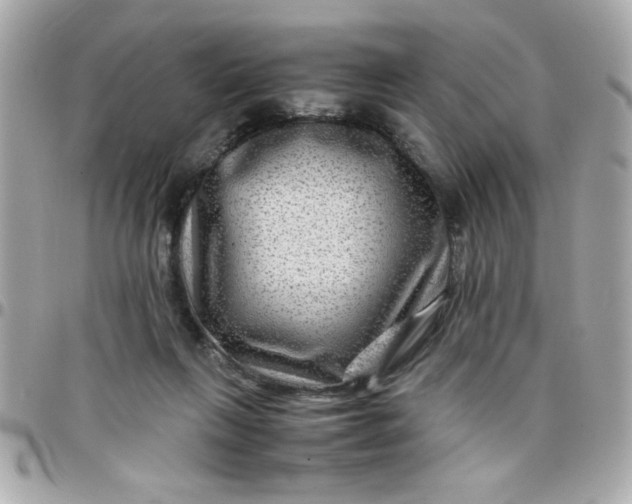 X0000097780263200803211805