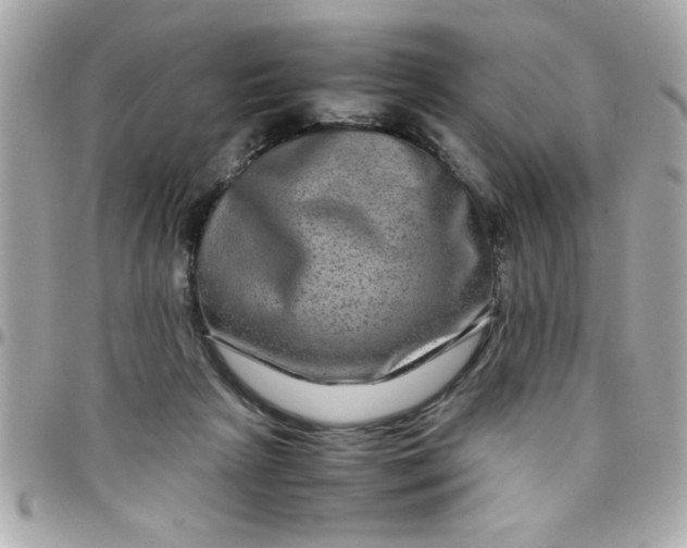 X0000097780265200803211805