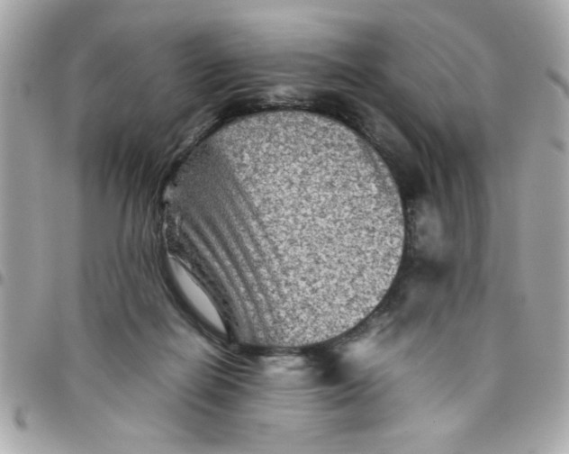 X0000097780266200803211805