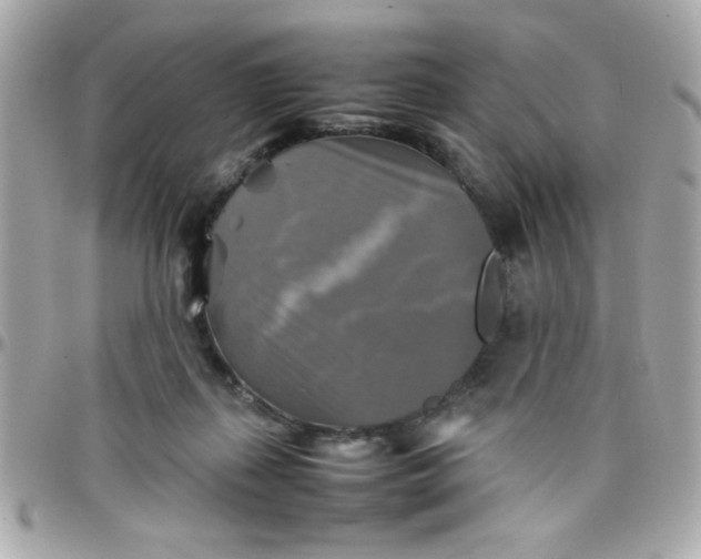 X0000097780267200803211805