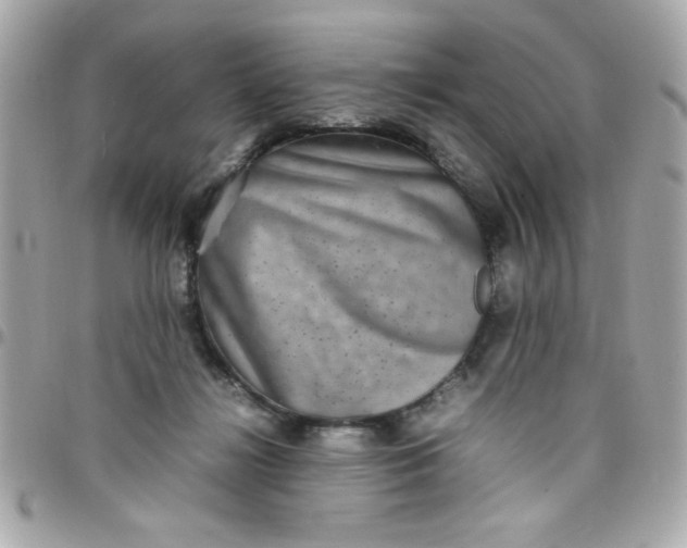 X0000097780268200803211805