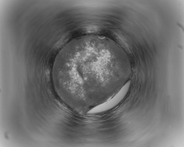 X0000097780269200803211805