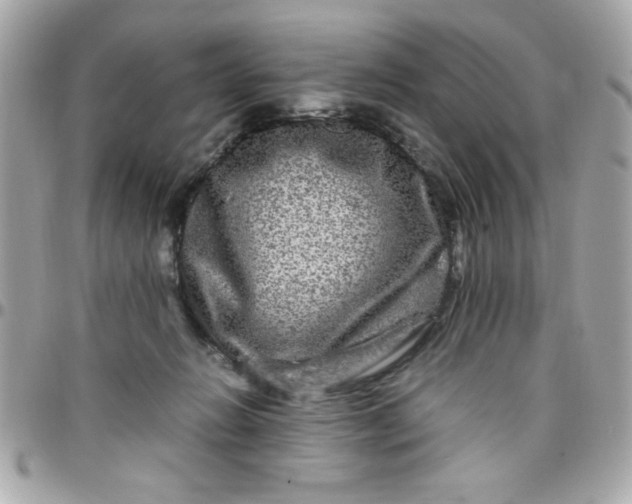 X0000097780270200803211805