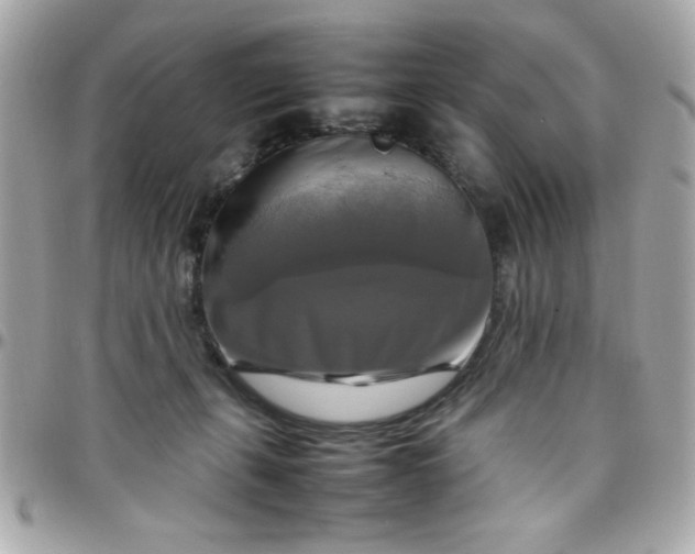 X0000097780271200803211805