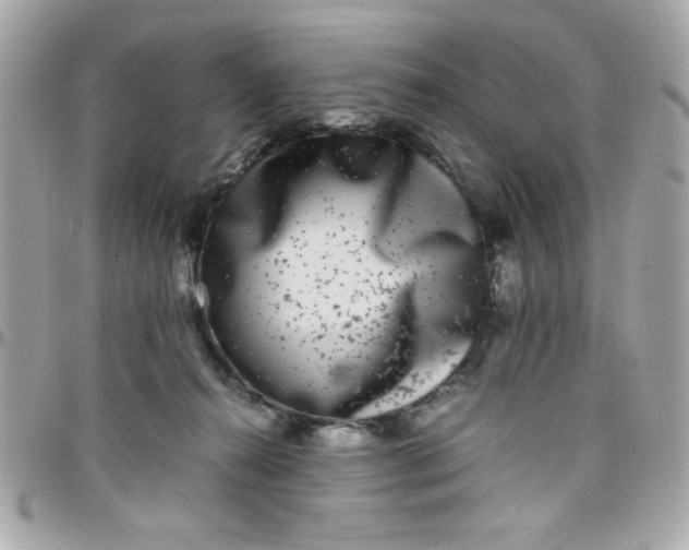 X0000097780272200803211805